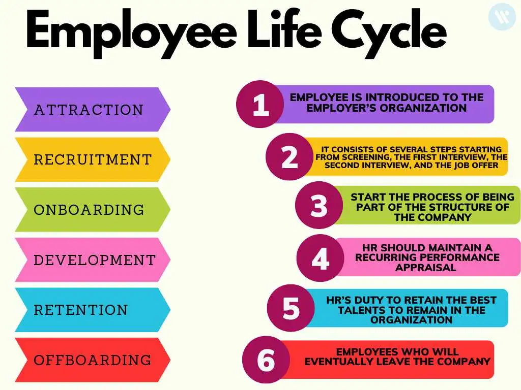 Colorful Process Pie Chart Employee Life Cycle, Meaning, and everything about it